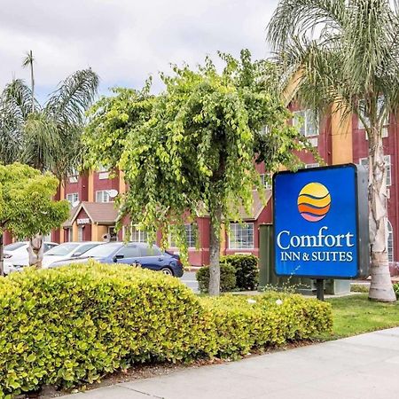 Comfort Inn & Suites Salinas Exterior foto
